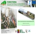 Seminario Internacional sobre Incendios en la Interfaz Urbano Forestal.